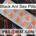 Black Ant Sex Pills 26